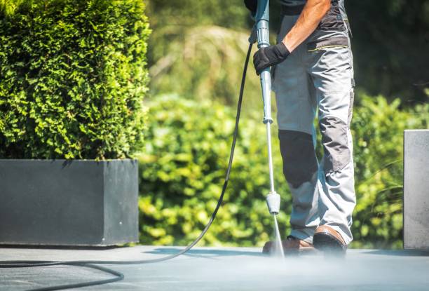 Best Solar Panel Cleaning  in Stickney, IL